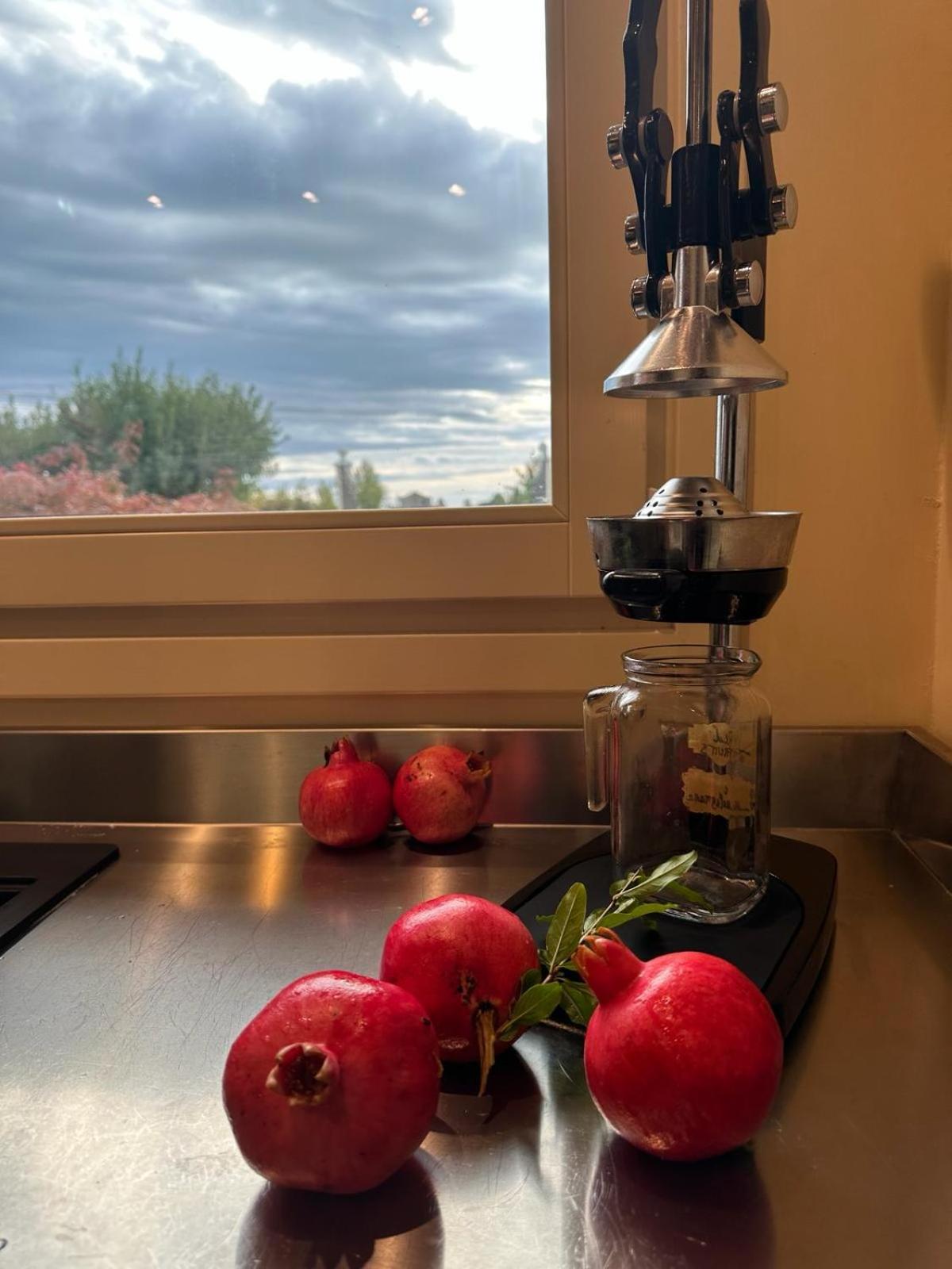 רימיני Agriturismo Borgonuovo מראה חיצוני תמונה